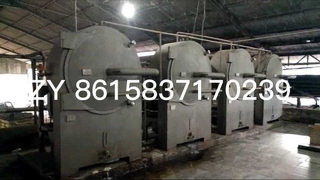 CE-cassavezetmeelverwerkingsmachine door centrifugaalzeef