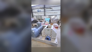 Robuuste commerciële rasper