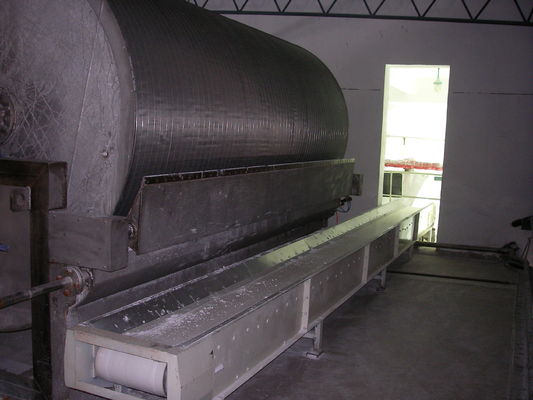SS304 roterende Vacuüm van de de Machinefilter van het Bataatzetmeel het Zetmeel Ontwaterende Machine